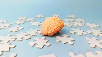 Учёные раскрыли, как мозг разделяет и связывает воспоминания