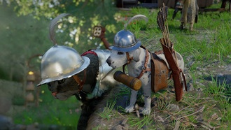 Как получить броню для кота и собаки в Crimson Desert