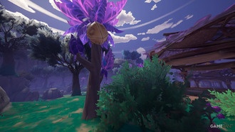 Где найти и как использовать орехи Копаа в Palia