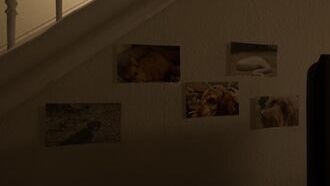 Полное руководство по достижениям и коллекционным предметам в The Exit 8