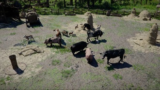 Как разводить скот на ранчо в Багровой пустыне