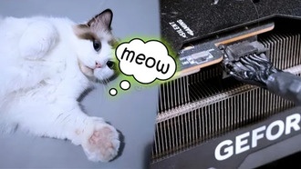 Кот спас хозяина, вовремя заметив дым от загоревшейся видеокарты RTX 4090