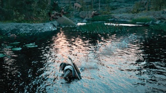 Где найти Водоходы в Crimson Desert