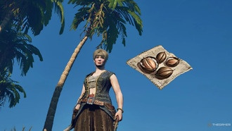 Как получить семена пальмы в Windrose