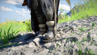 Как создать Сапоги Желтоклюва Риши в Crimson Desert