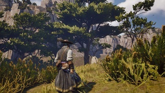 Где найти твердую древесину в Windrose