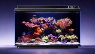 Dangbei представила умный аквариум Smart Fish Tank 2S Ultra с ИИ и полным спектром света