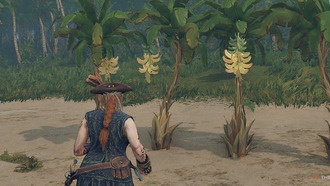 Как выращивать урожай в Windrose: руководство по фермерству