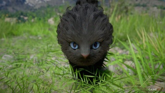 Как изменить имя питомца в Crimson Desert