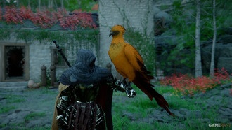 Как получить легендарного феникса в Crimson Desert