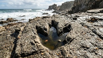 На побережье ЮАР найдены 132-миллионолетние следы динозавров, переписывающие историю региона