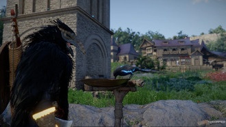 Crimson Desert: как приручать птиц — полный гайд по кормлению и получению питомцев