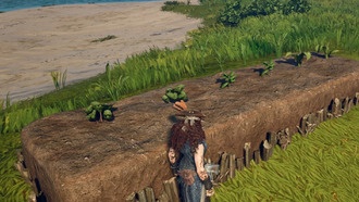 Как найти Плодородную почву в Windrose и начать фермерство