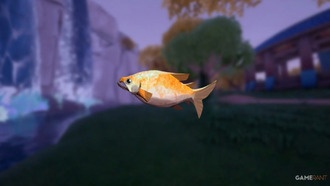 Где найти и как использовать Золотого лосося в Palia