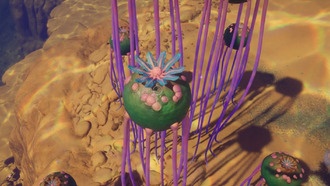 Как найти Цисту некролеи и создать Концентрированную кислоту в Subnautica 2