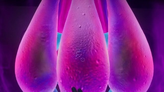 Где найти всех Гребневиков-ангелов в Subnautica 2: полный гайд по локациям и Адаптациям