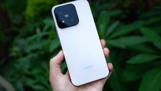 Xiaomi запускает бесплатный ремонт телефонов и ноутбуков, пострадавших от наводнений в Китае