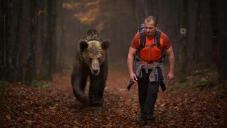 Исследование: люди не всегда воспринимаются животными как супер-хищники