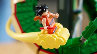 LEGO подтвердила первый набор серии Dragon Ball — Шенрон и Гоку за 12000 рублей